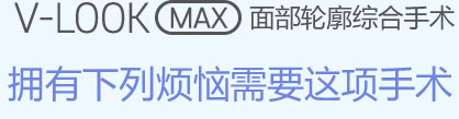 v-look max 
